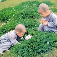 Quang Phuong Le