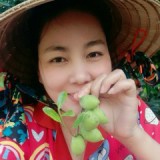 Tuyết Nhi Đồ Bộ