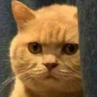 7 1 9
