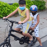 Trương Đình Vũ