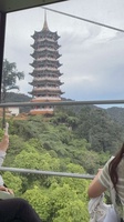 Tran Tran