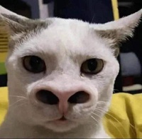 ngọc
