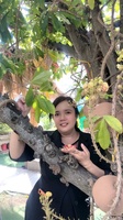 phạm Thị Mai Tuyền 