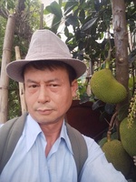 Hùng Nguyễn 