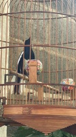 TuấnNguyễn
