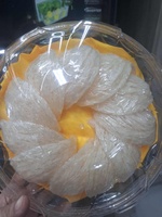 Phương Nhi Lê