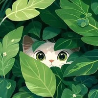 Người Con Đất Bắc