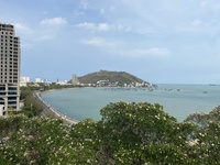 Vy Âu