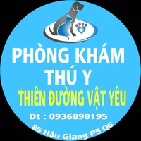 Thắm Nguyễn - 0936890195