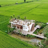 Nguyen Chanl