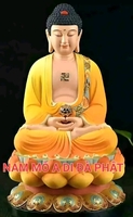   vũ tuấn 