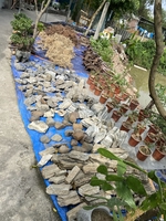 Trại Cá Đức Phạm