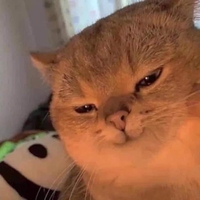 Bình