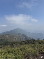 Truong Minh Duc