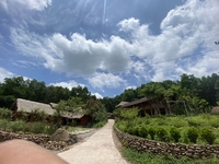 Nguyễn Đình Thiện