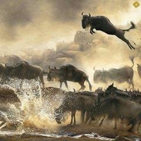 Nguyễn Đức Quang