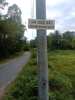 Quang