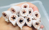 Nhật