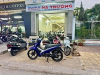 trường