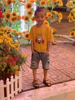 Văn Thảo