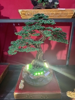 QuangĐăng
