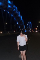 voo thanh anh
