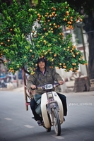 Thành Công