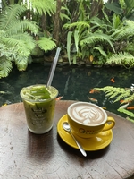 Trịnh Ngọc Hiếu