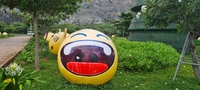 Mr Smile