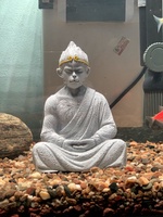 Hoàng Tùng