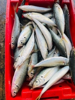 Chợ Quê Trên Phố 