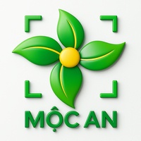 MỘC AN