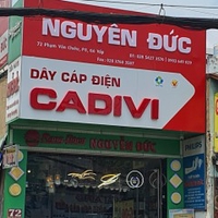 nguyễn đức đông