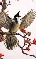 Đoàn Thị Điểm 