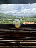BinShi