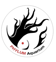 phylum Aquarium - 0905635233