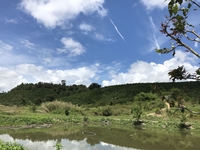 Trương công Thành