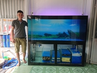 Hải Dương