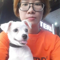Lê quỳnh