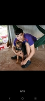 Quang huấn