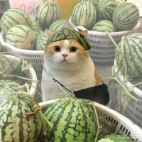 Uyên