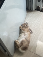 Tên chưa cung cấp