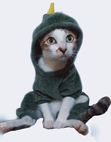 Đa Đa