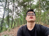 Trần Nguyên