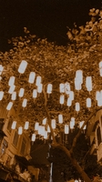 đậu đậu