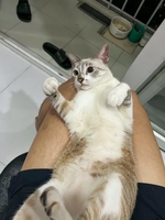 Hưng 