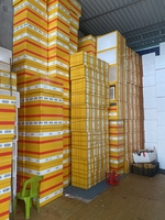 Nguyenvannam