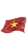 Sơn