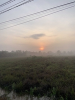 A Thuận 