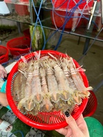 Hải Sản Tươi Sống 